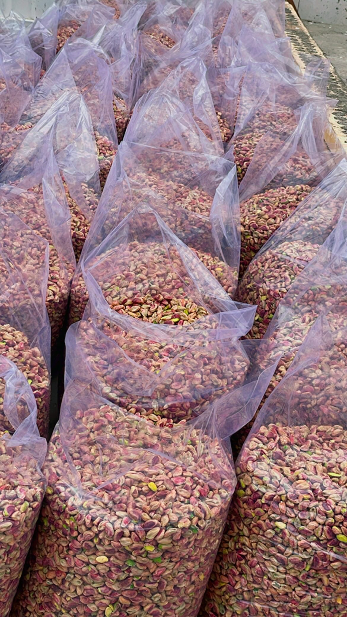 مغز پسته ممتاز خندان 