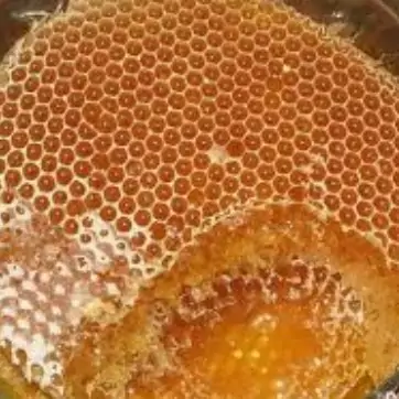 Honey shop 