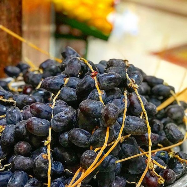 خرما مضافتی بم درجه یک 