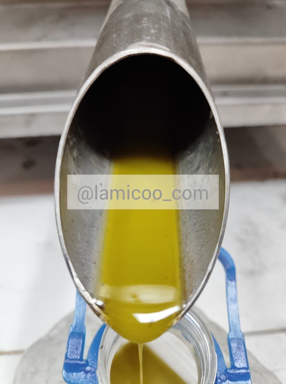 روغن زیتون اصل و خالص (تضمینی) 