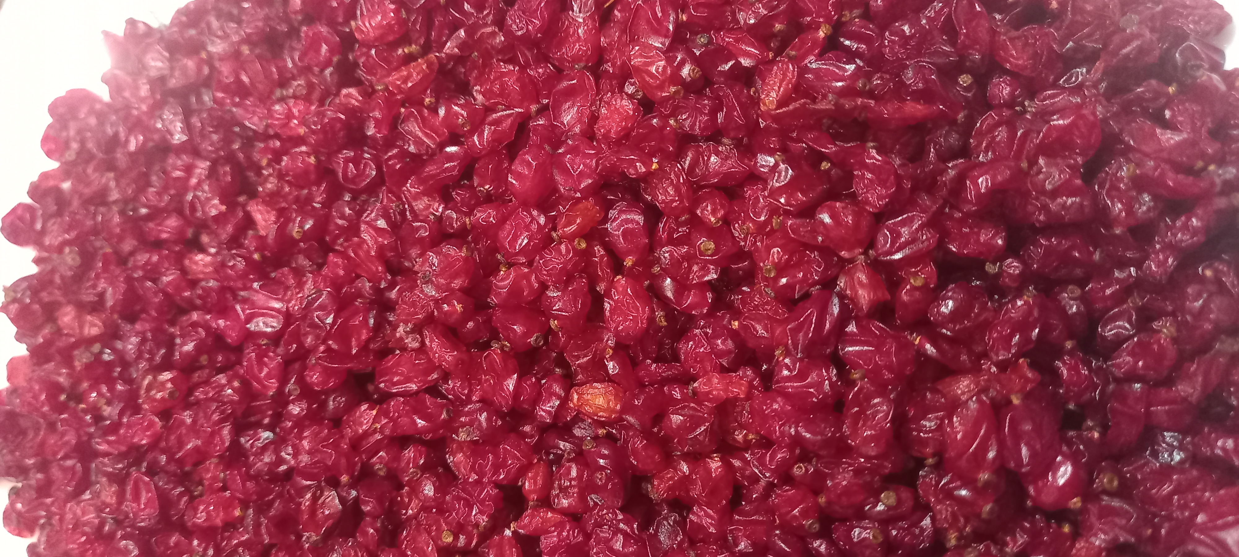 فروش مواد غذایی