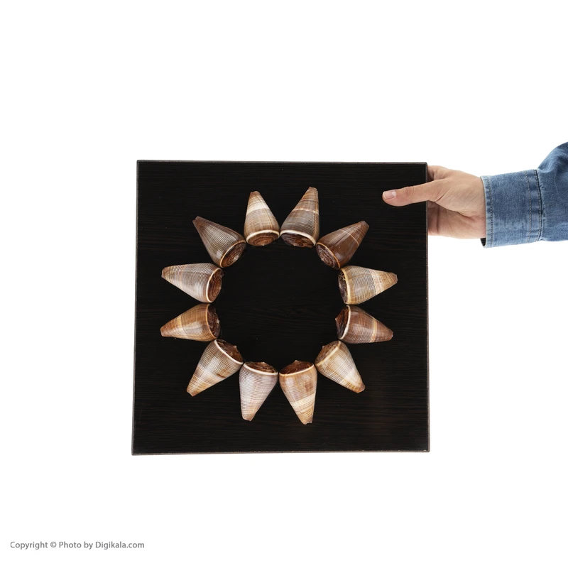 تابلو صدف طرح خورشید