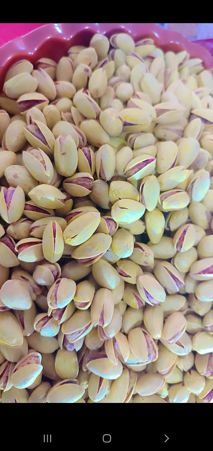 مزرعه مهدی