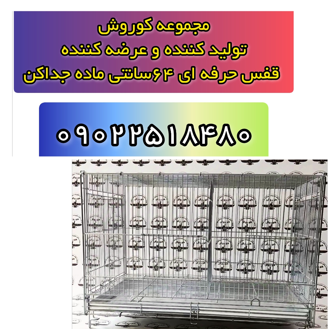 قفس قناری حرفه ای ۶۴سانتی ماده جداکن 