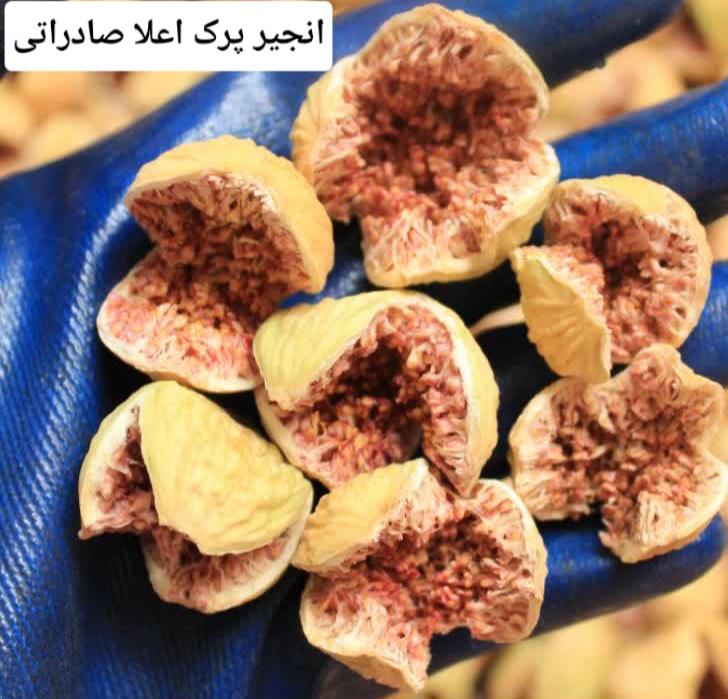 انجیر استهبان