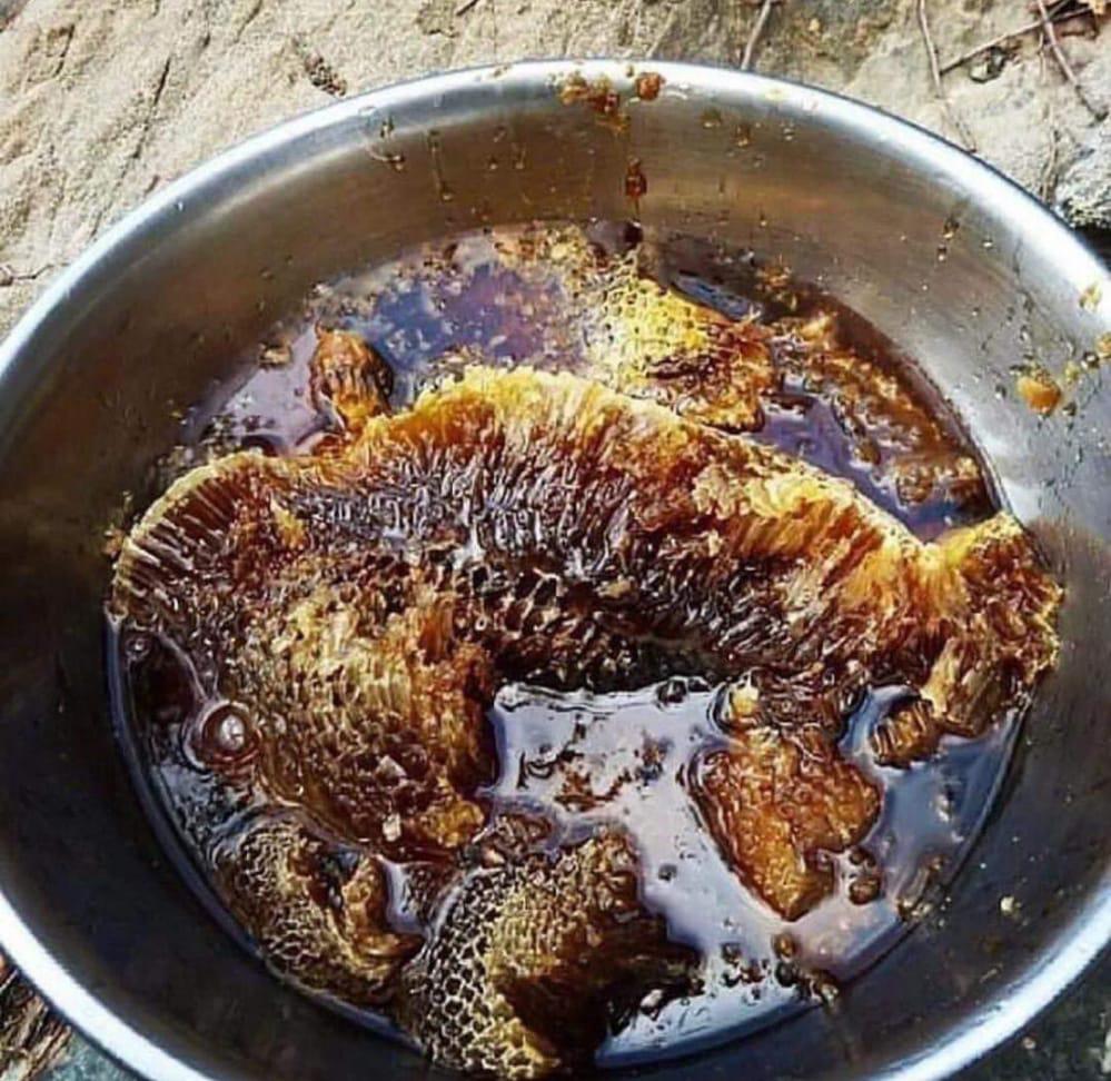 عسل جبلی