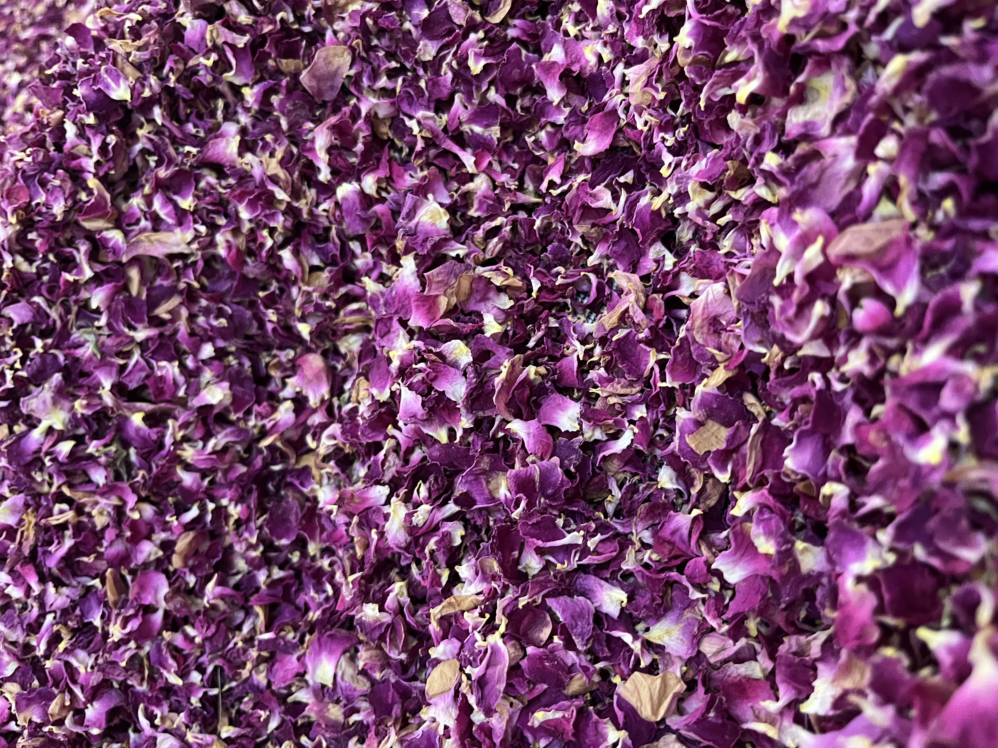 گل محمدی خشک مرغوب