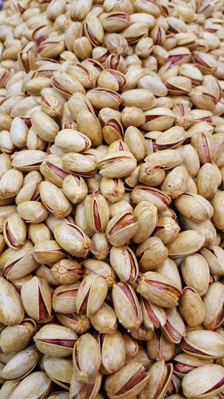 فروش عمده پسته ممتاز 