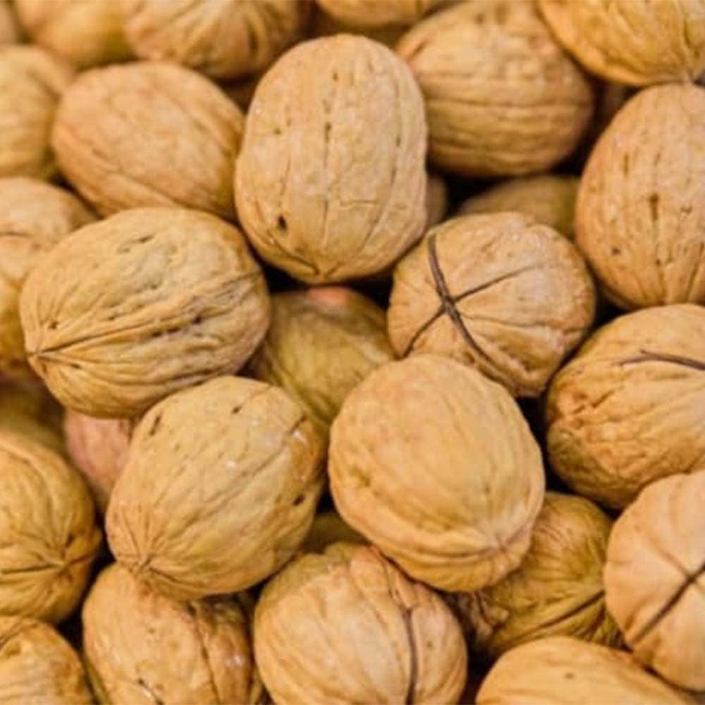فروش حبوبات و سایر مواد خوراکی