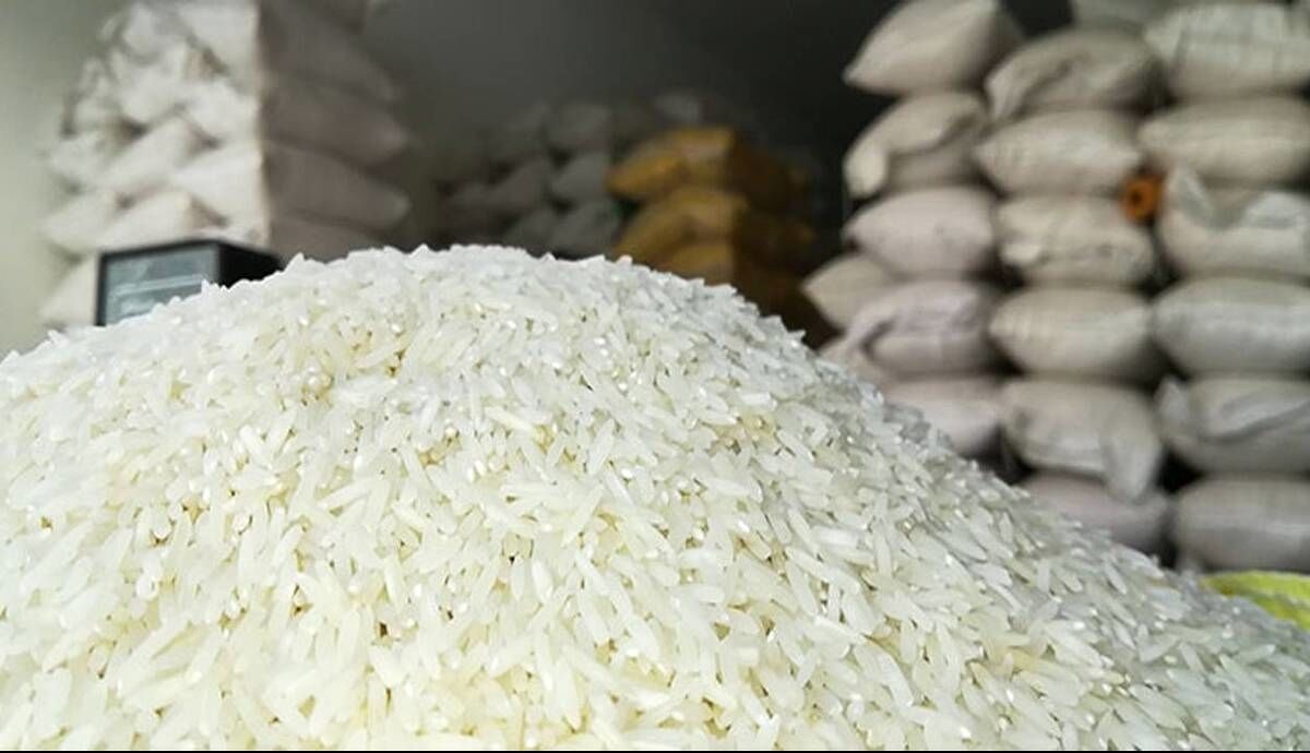 صادرات انواع پسته و برنج 