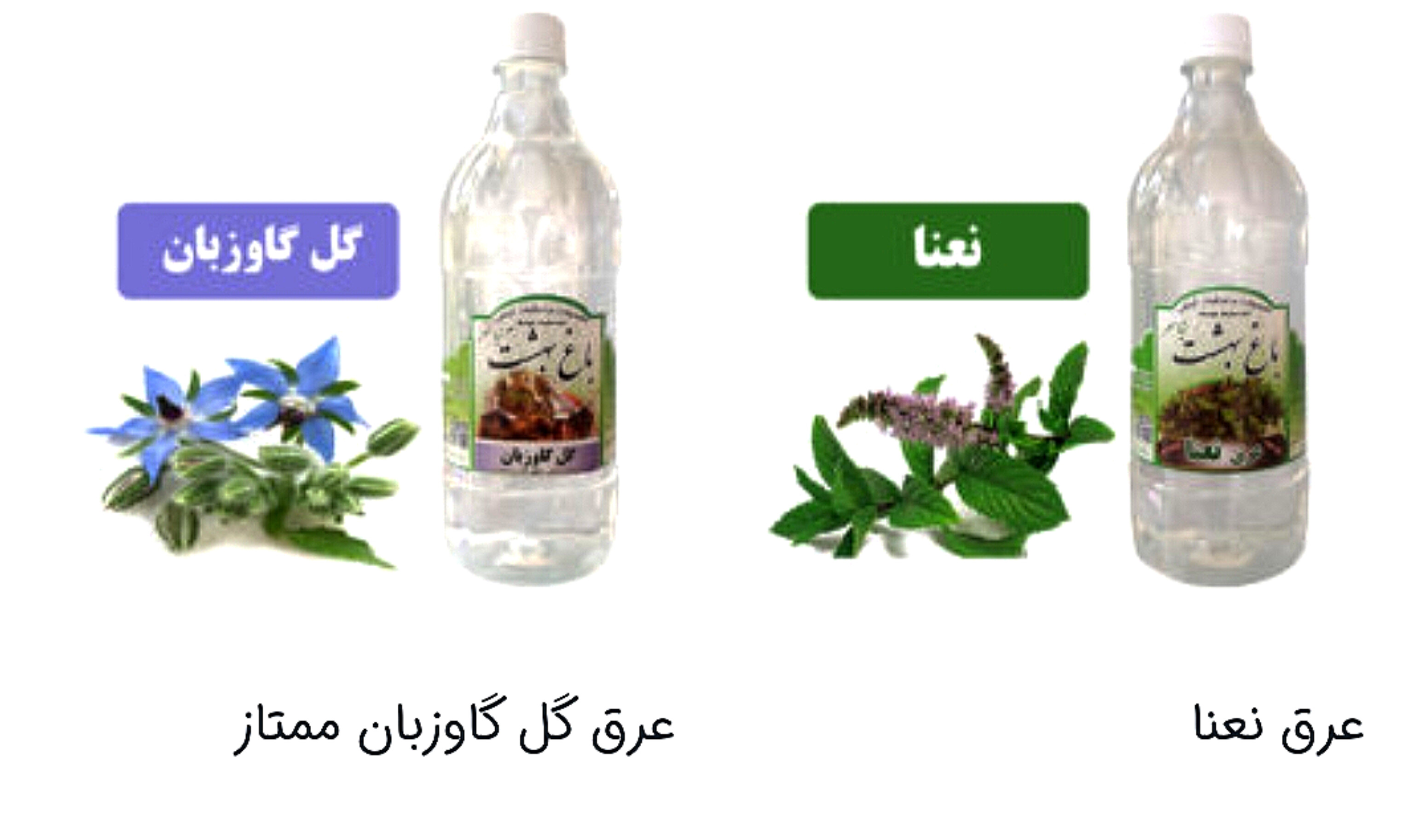 فروش عرقیجات ارگانیک