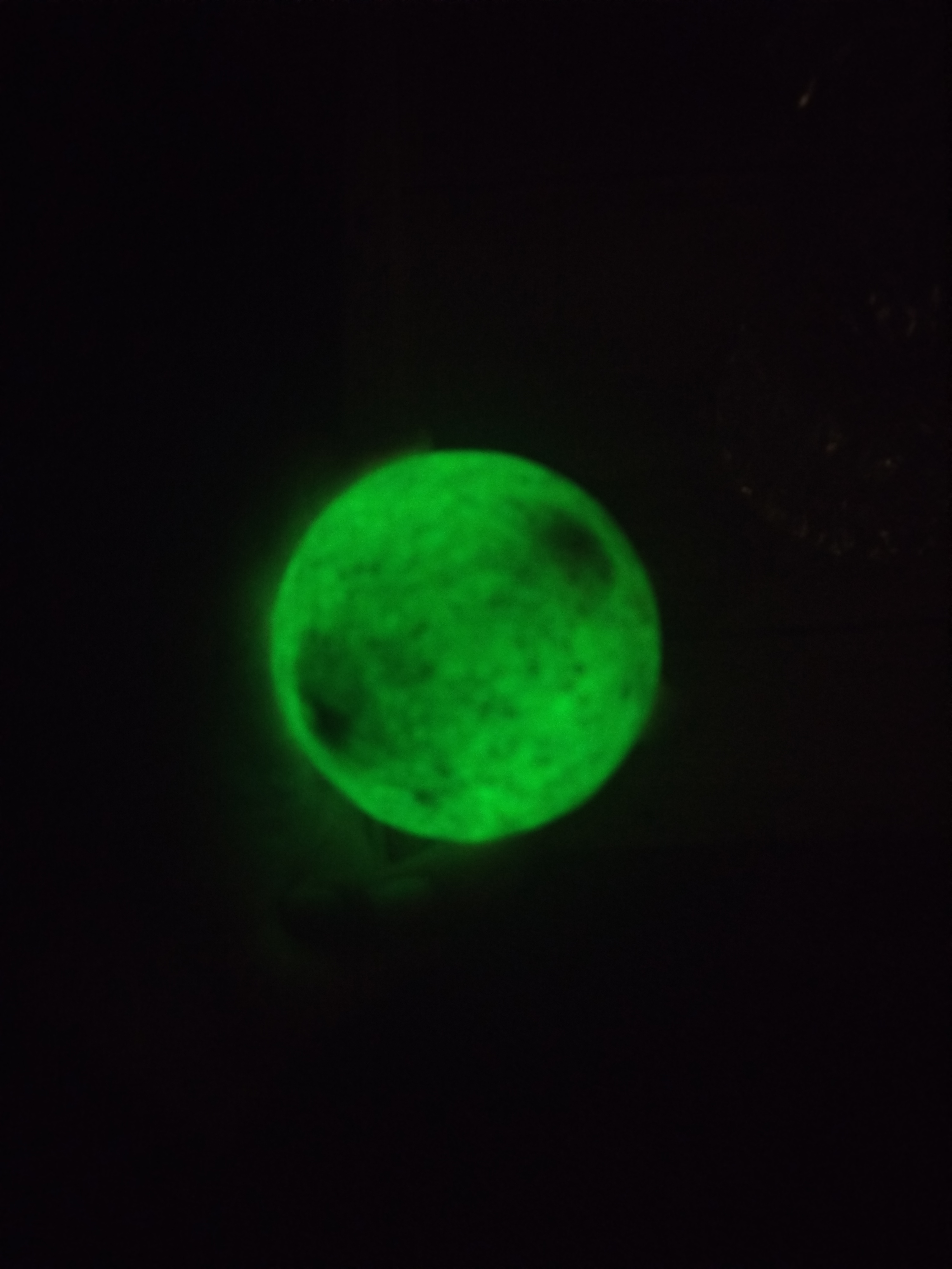 گوهر شب‌چراغ 