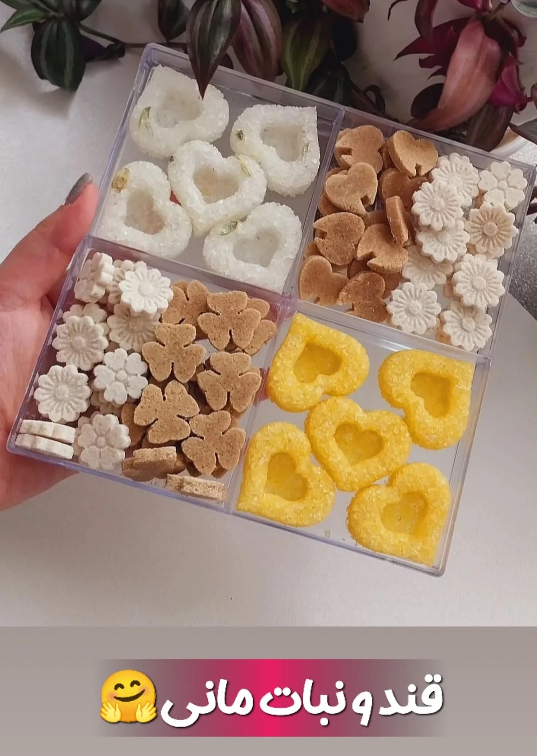 قند و نبات گیاهی و شیک