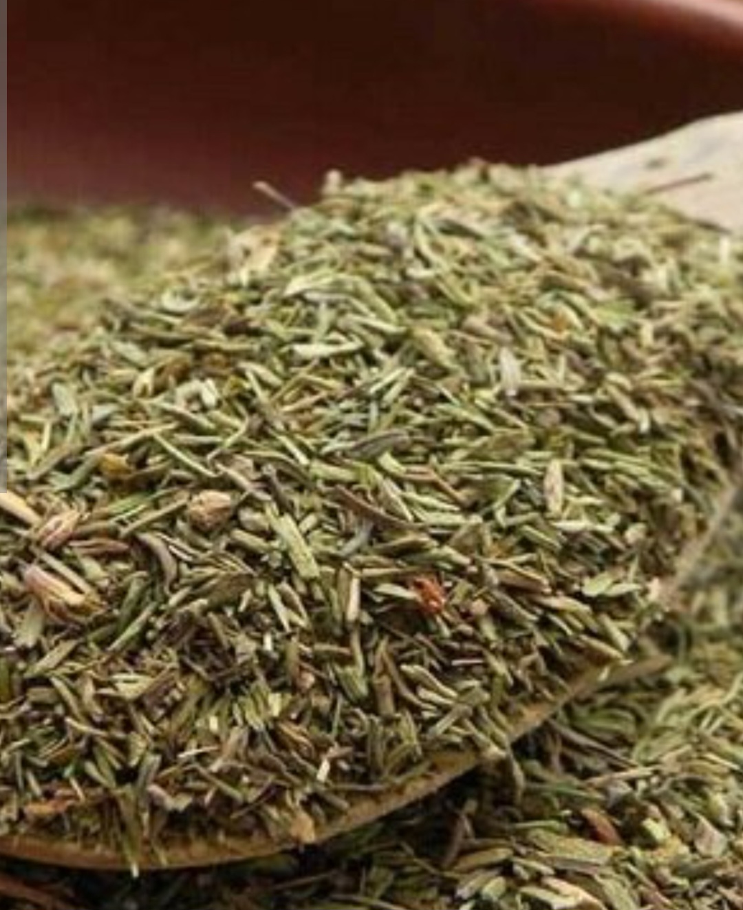 آویشن از کوه های استان ایلام