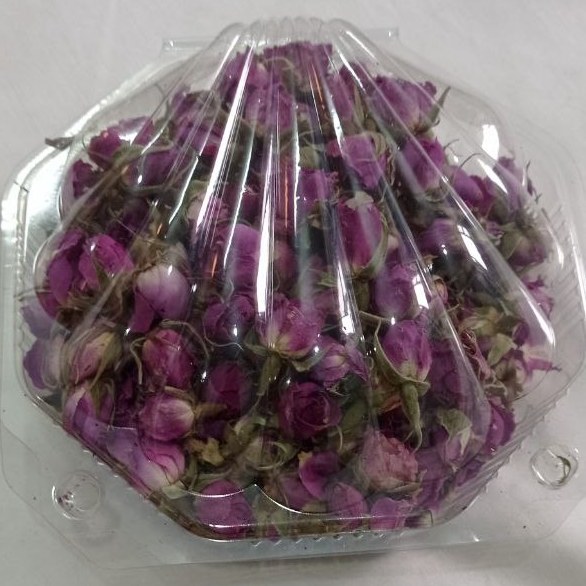  گل محمدی