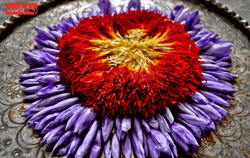 زعفران طلای سرخ