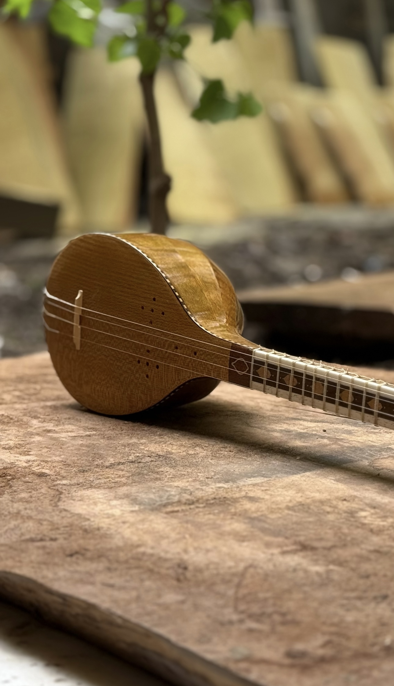 سه تار حرفه ای کاسه گردو خاص