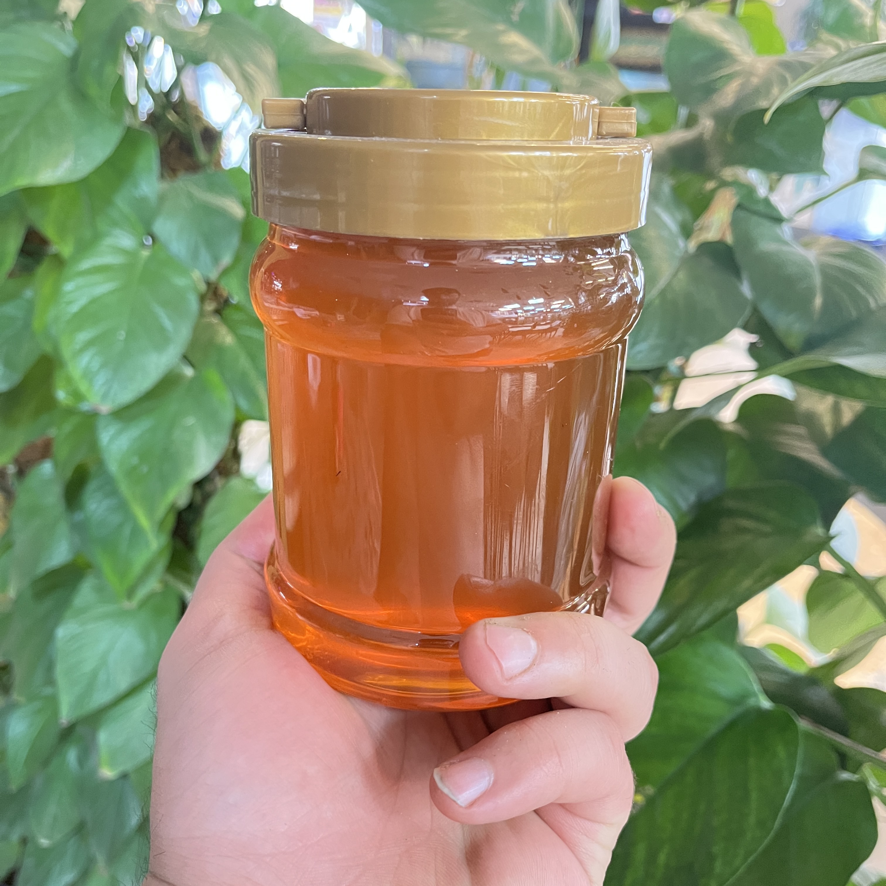 العسل الطبيعي