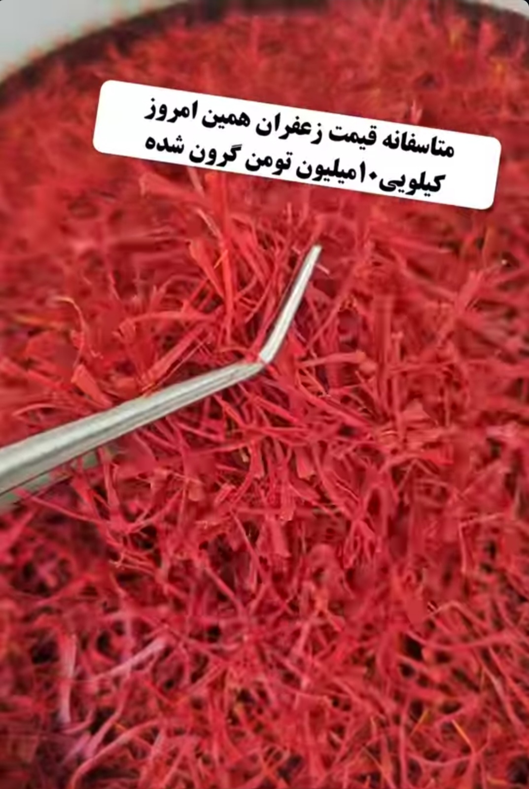 فروش عمده و جزیی خشکبار