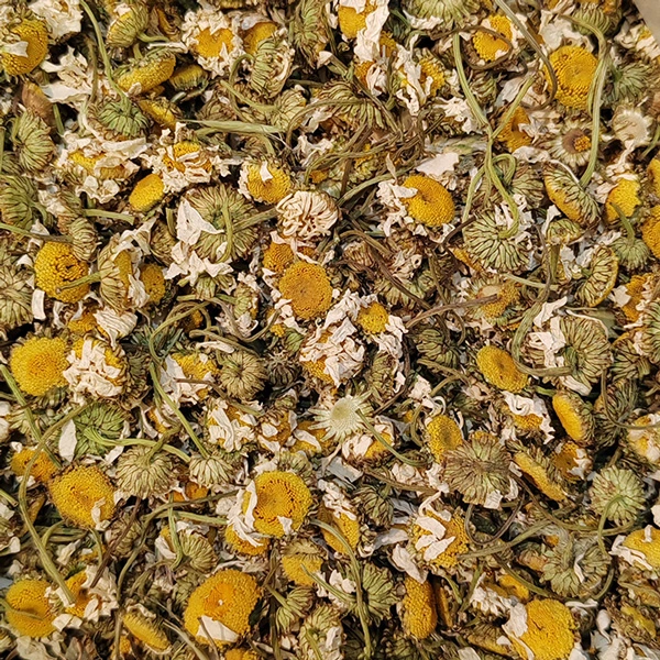 گل محمدی، بابونه