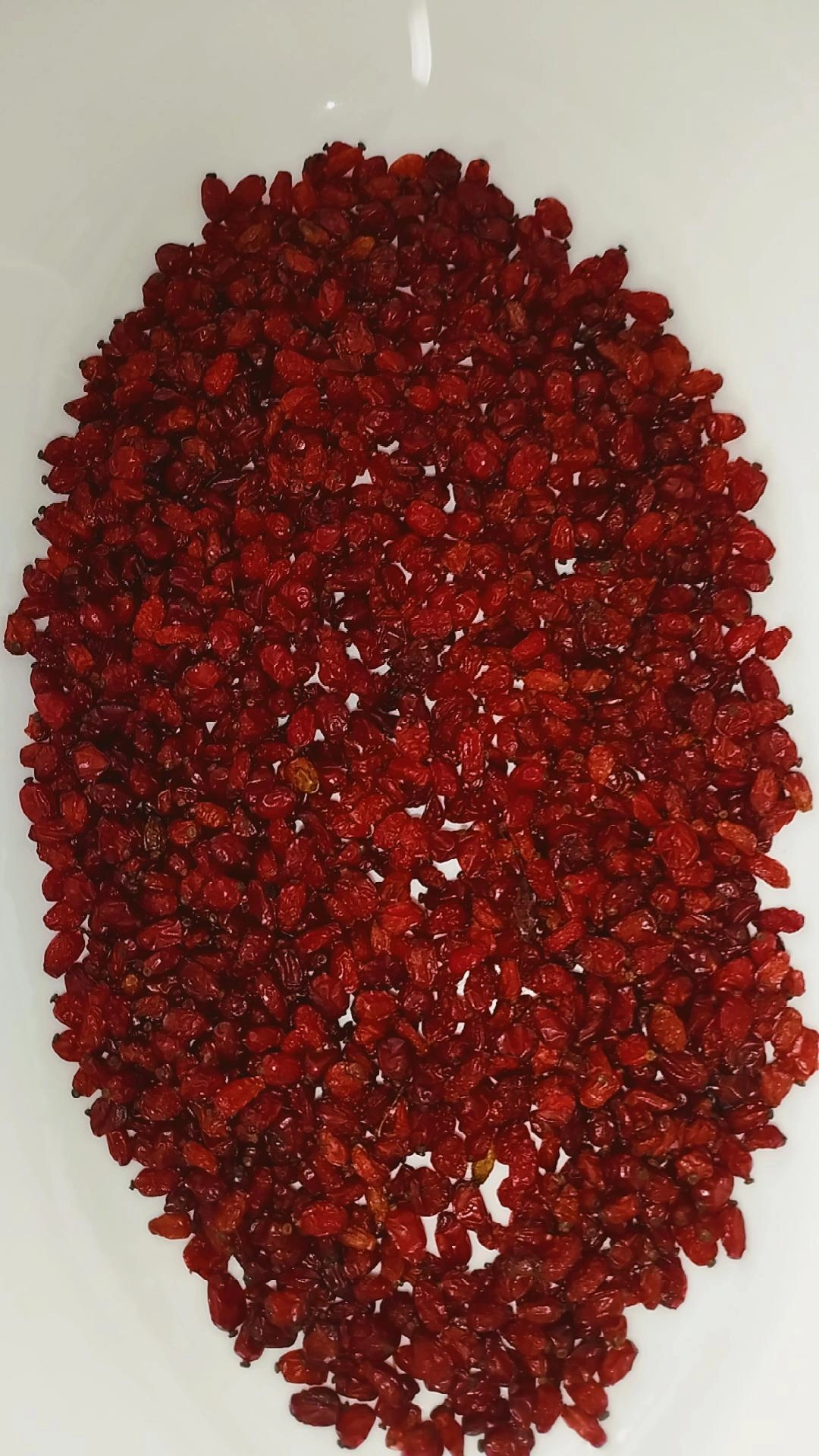 زرشک أعلا قائنات
