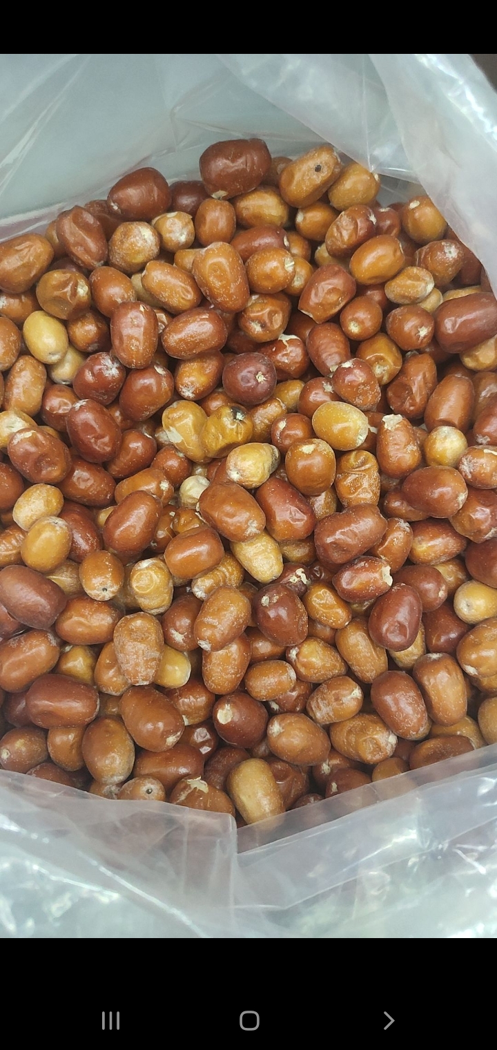 مزرعه مهدی