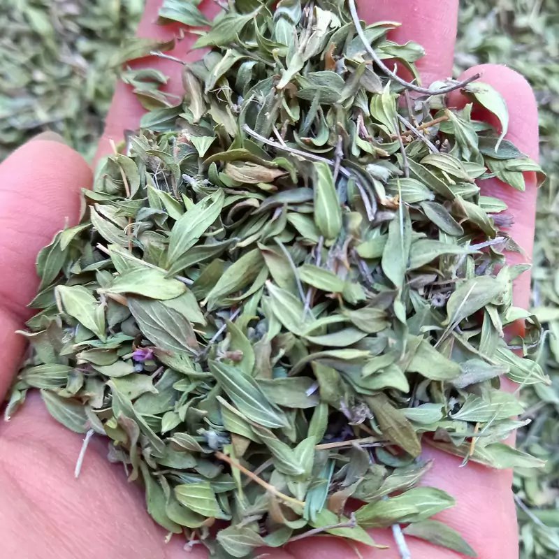 فروش عطاری