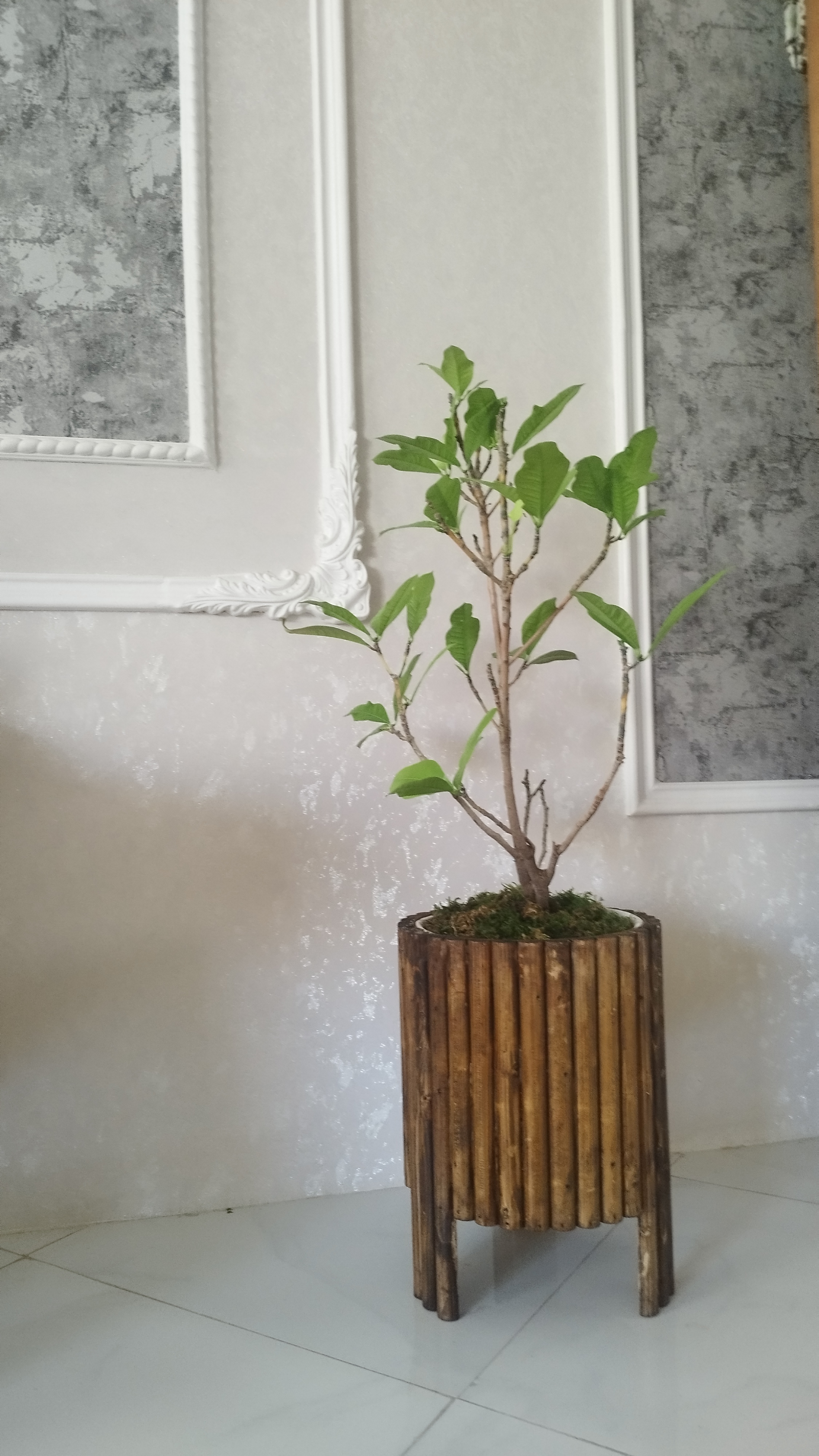 پایه گل 