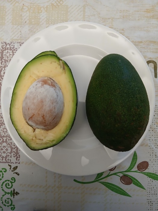 آووکادو 