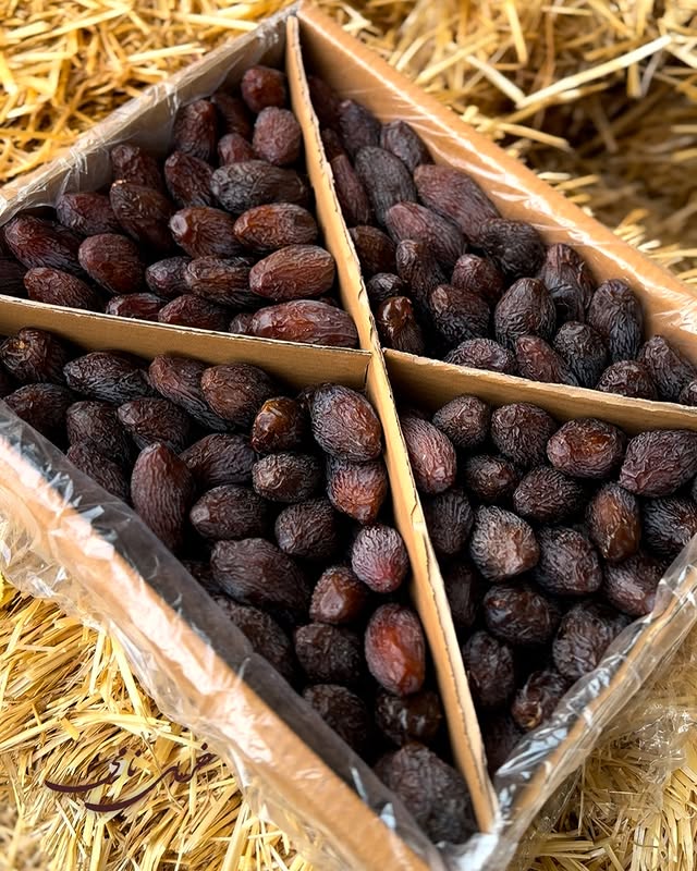 خرما مجول