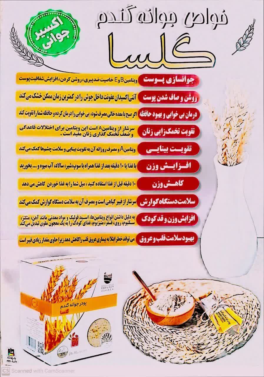 پودر جوانه گندم گلسا 