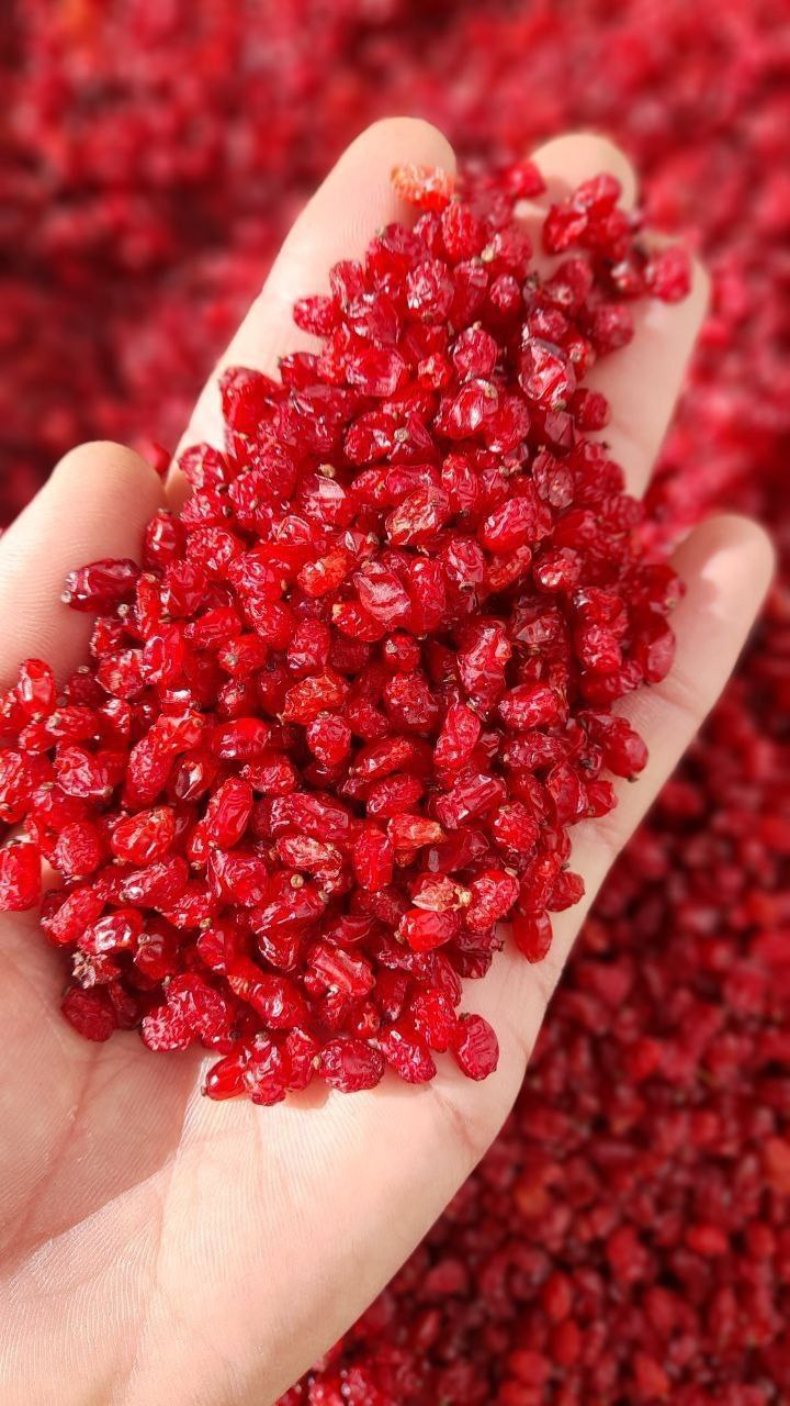 (زرشک ایرانی)