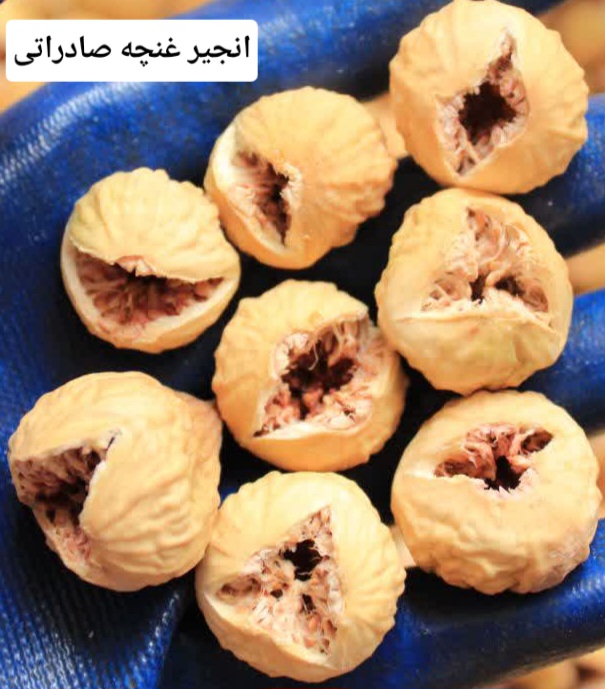 انجیر استهبان