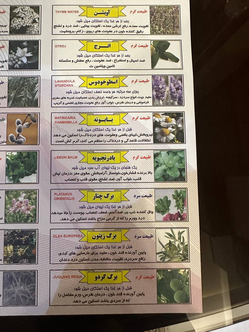 گلاب و عرقیجات 