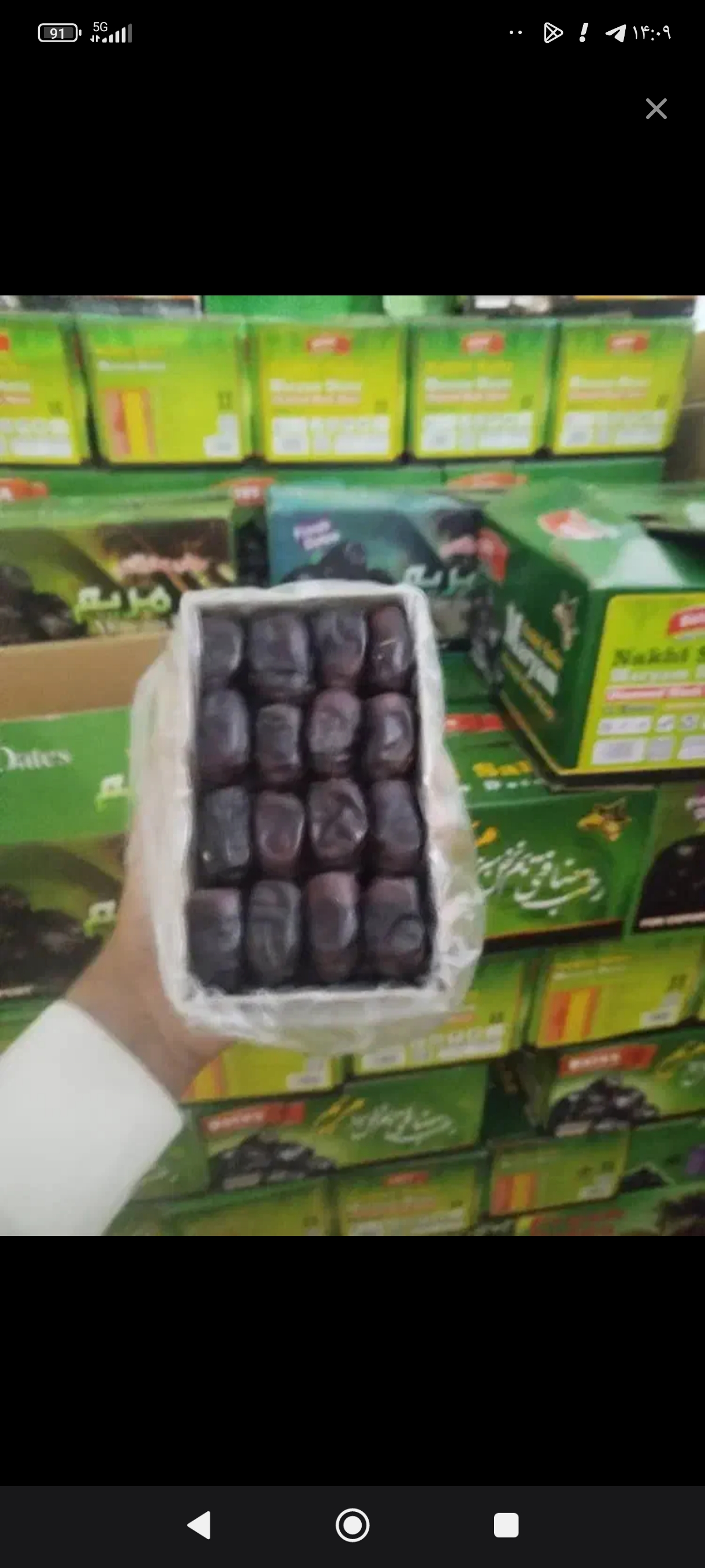 خرمای بم