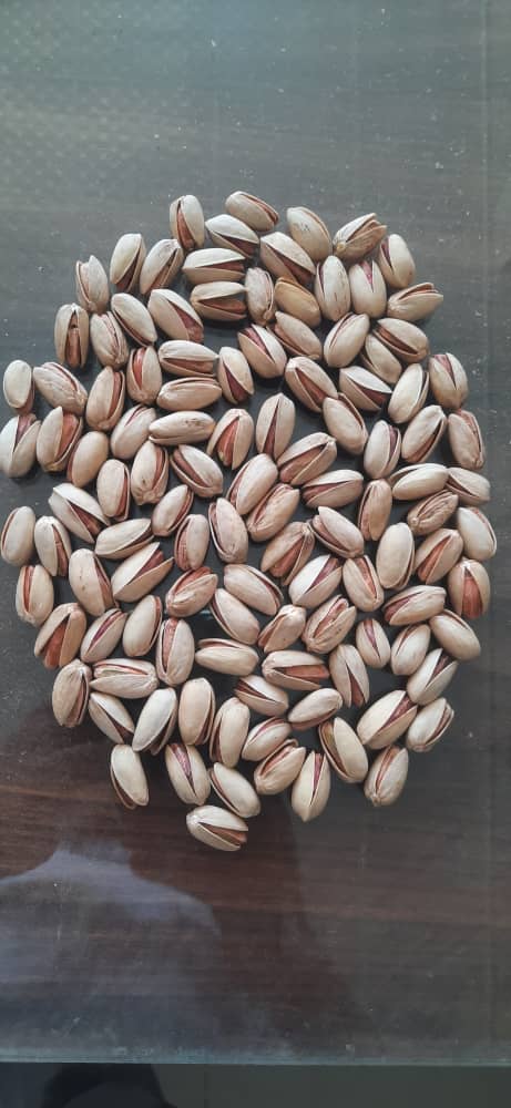 فروش ویژه انواع پسته ایران 