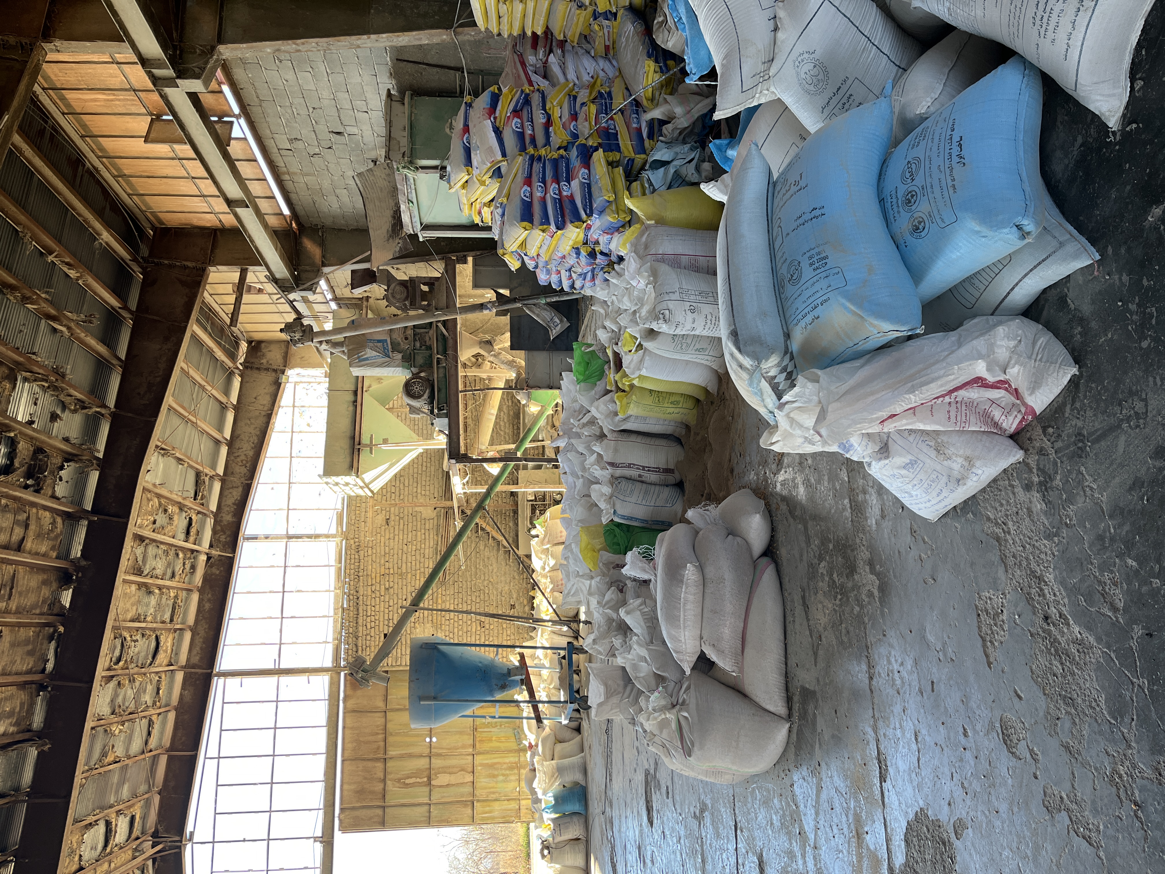 دان‌مرغ تخم‌گذار صادراتی