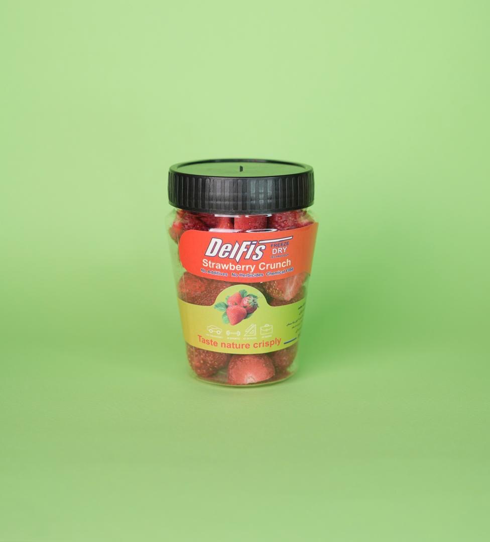 کارخانه تولیدی میوه و بستنی خشک 