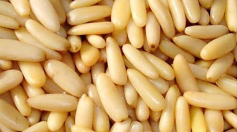 چلغوزی خوب درجه 1 عمده وکیلویی