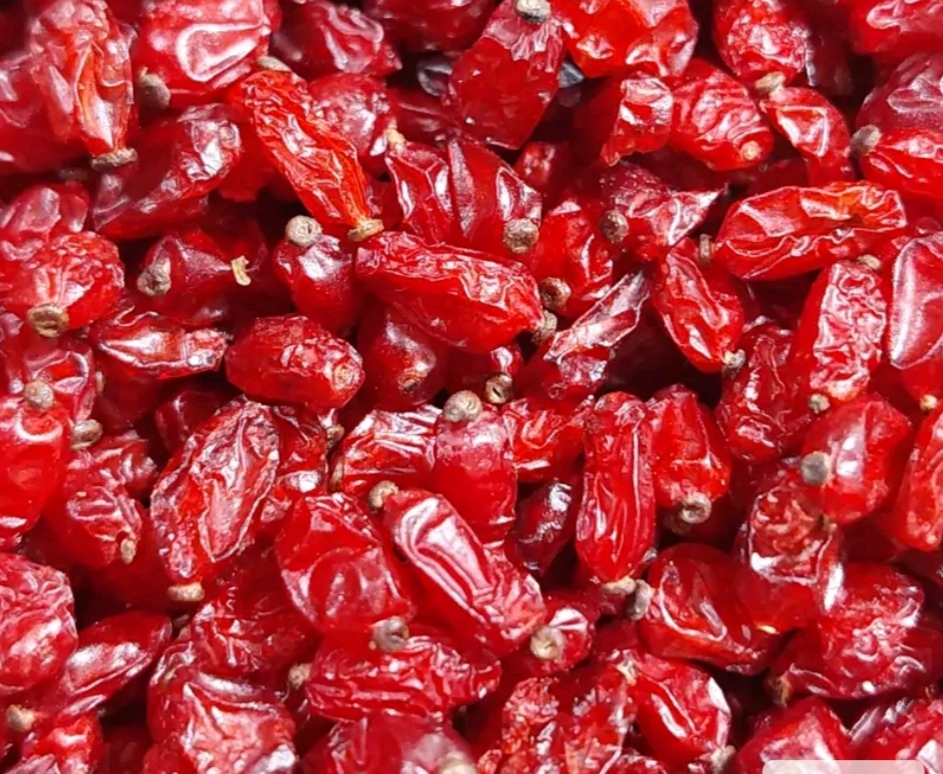 زرشک ایرانی اصل