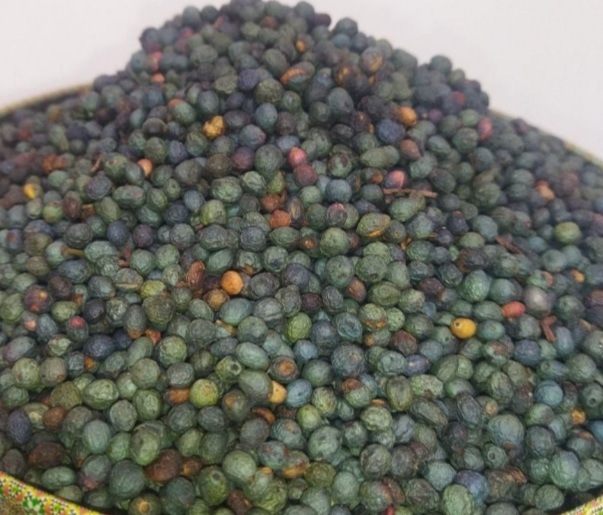 فروش پسته وحشی یا بنه خوش طعم