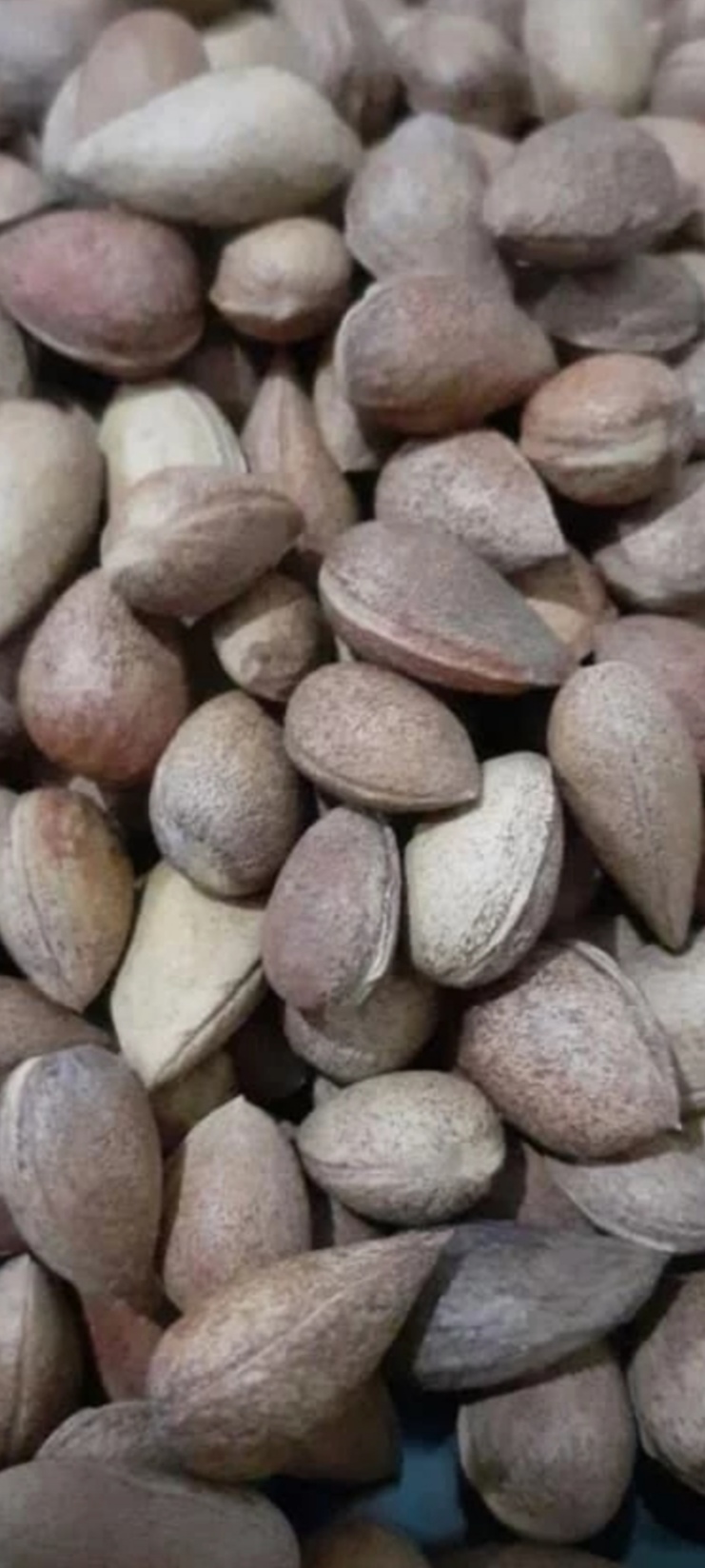 تبلیغ محصولات خونگی و ارگانیک