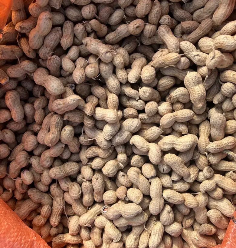 بادام زمینی درجه یک دانه درشت 