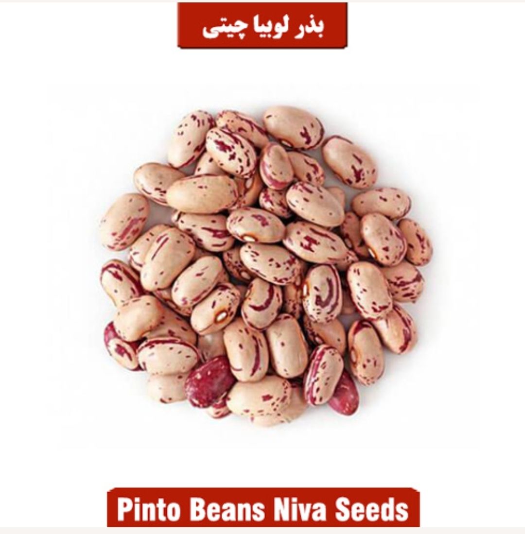 فروش محصولات غذایی ایرانی