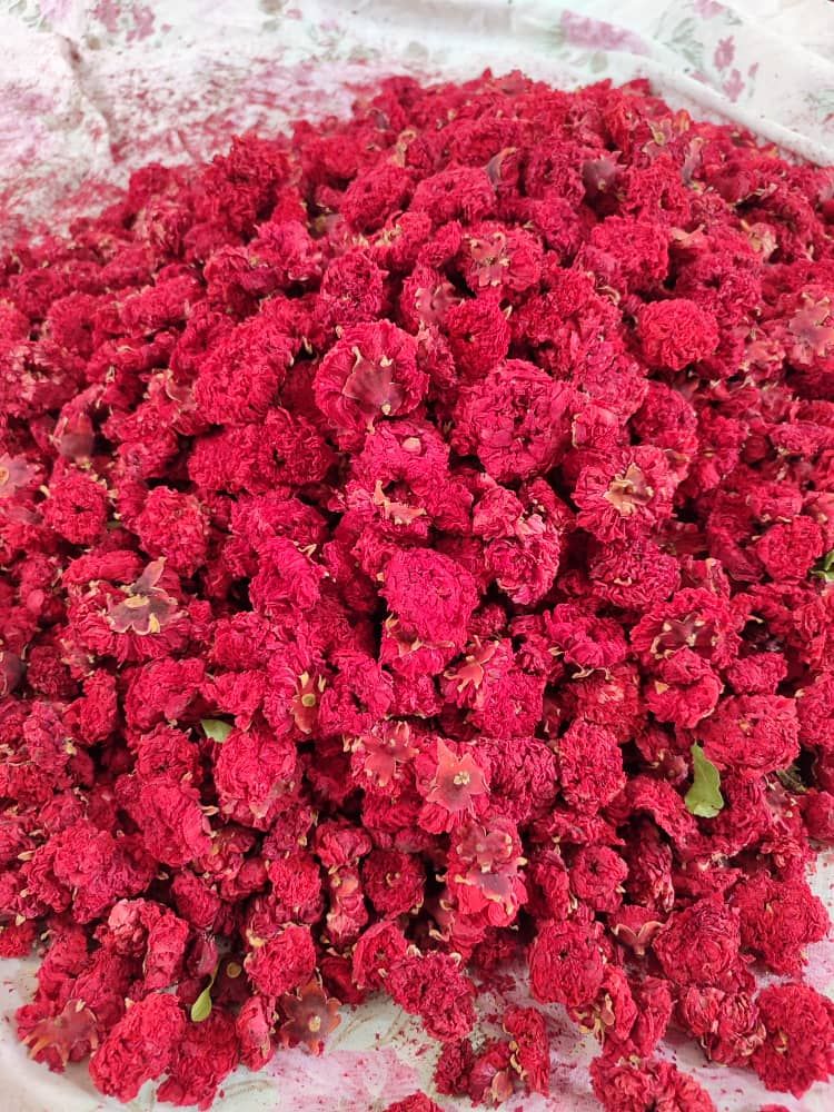 گلنار فارسی به صورت فله 