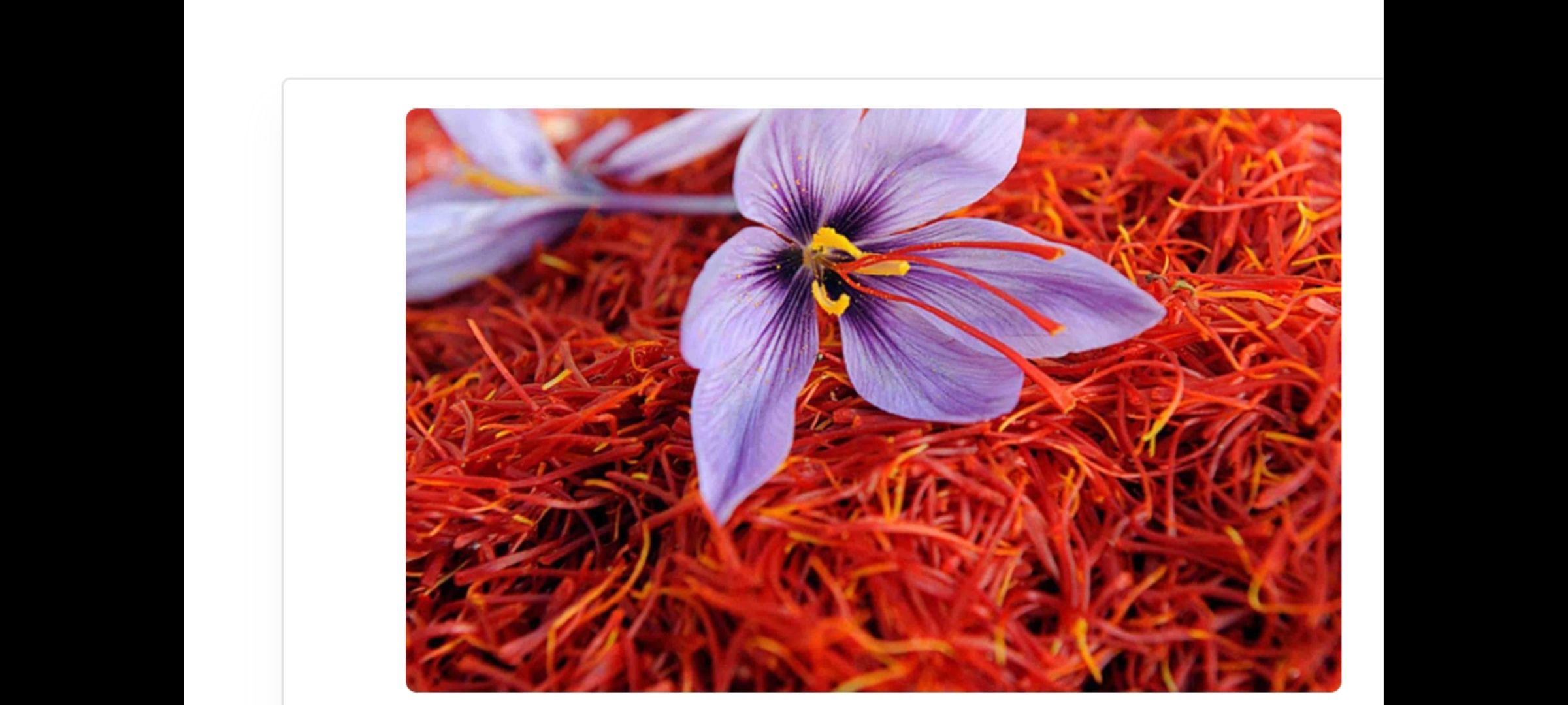 زعفران سوپر نگین.صادراتی