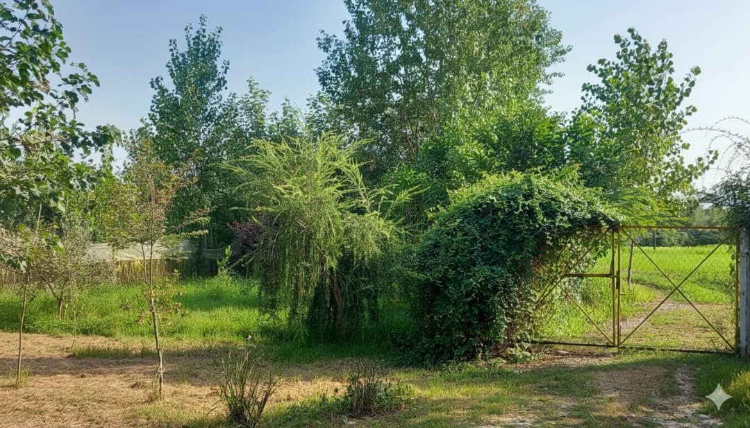 ویلایی جنگلی گیلان