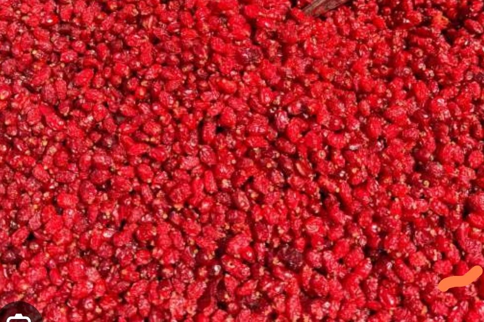 زعفران و زرشک فوق اعلا