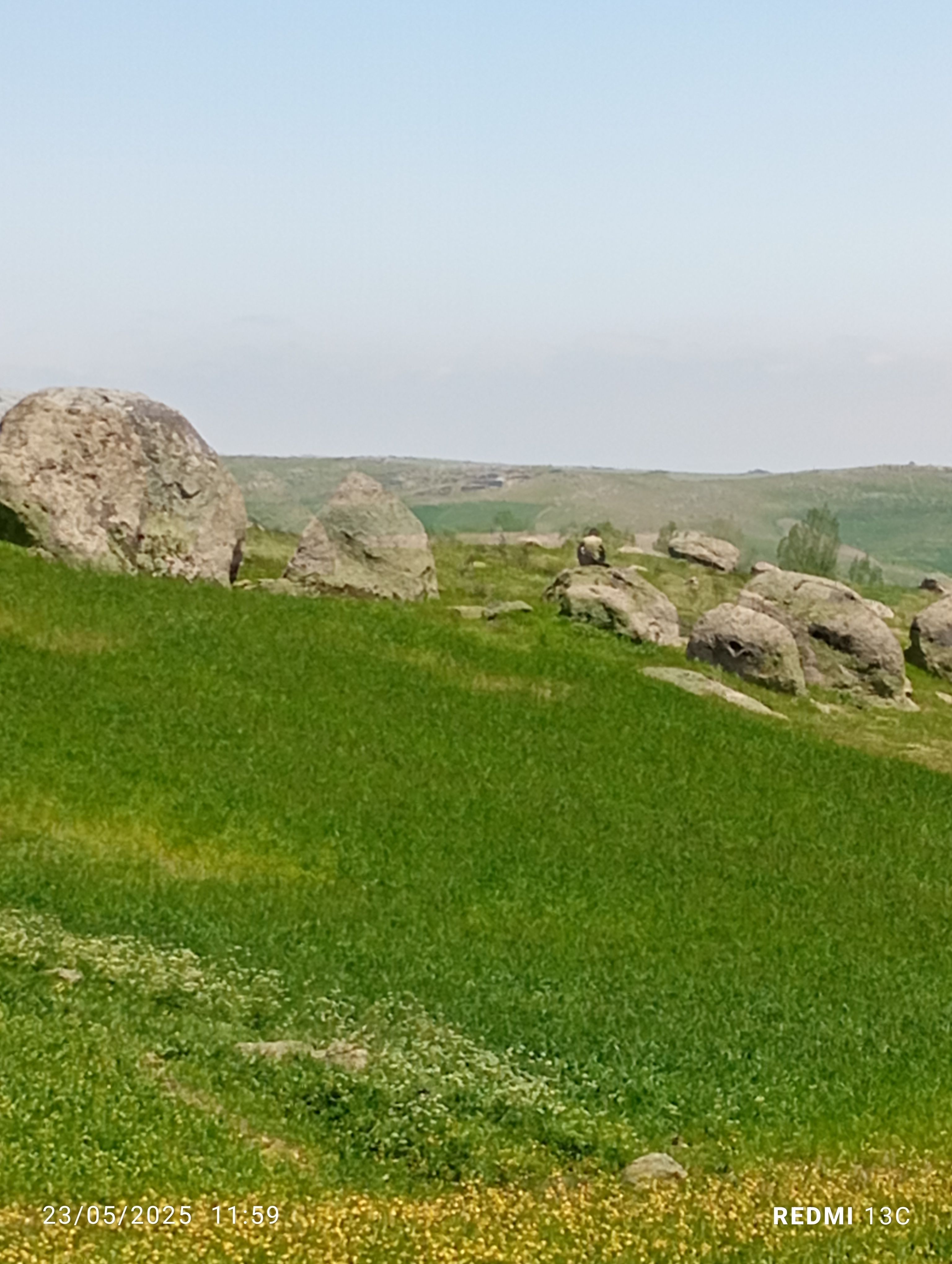 عسل ساولان