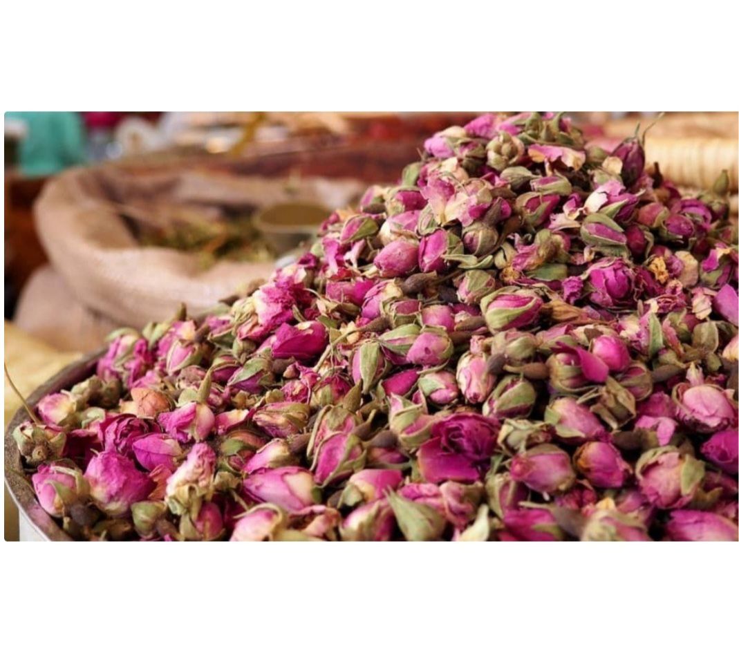 گل محمدی 